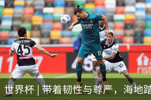 世界杯 | 带着韧性与尊严，海地踏上归途