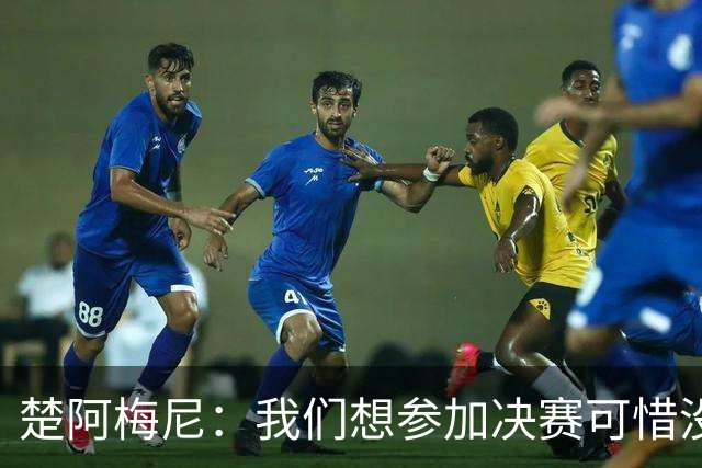 楚阿梅尼：我们想参加决赛可惜没能做到，归根结底都是咎由自取